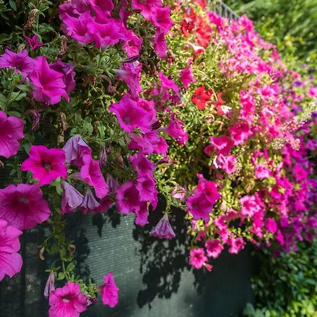 Frühstückspension La Pajassa