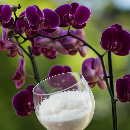 Frühstückspension La Pajassa 4*