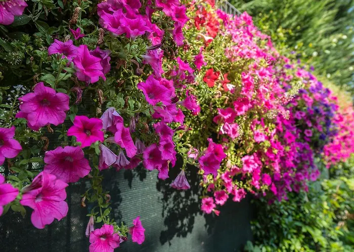 Bed & Breakfast La Pajassa